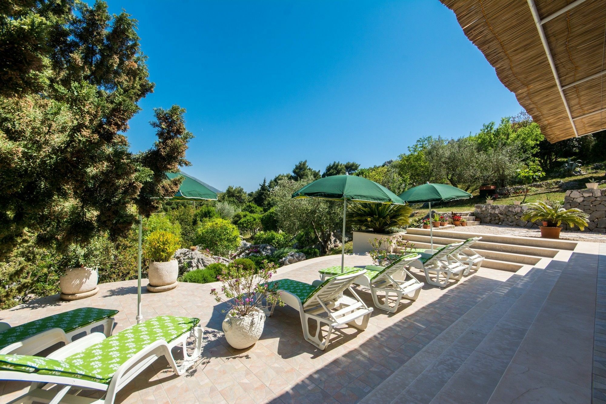 Apartments & Rooms Jokovic Mlini Εξωτερικό φωτογραφία